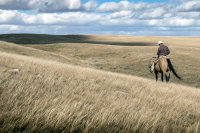Bild zur Veranstaltung