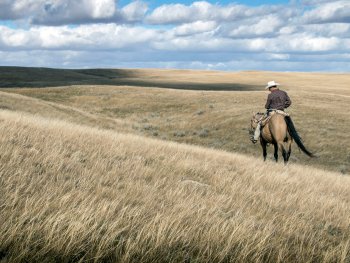 Bild zur Veranstaltung