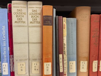 Bücherim Regal