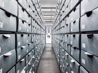 Bild zur Veranstaltung