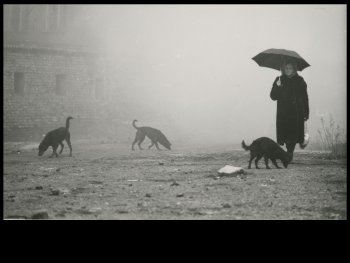 Copyright: Deutsche Kinemathek Szenenbild aus dem Film VERDAMMNIS