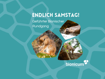 Copyright: Copyright Bilder: Tiergarten Nürnberg / Tom Burger Bild zur Veranstaltung