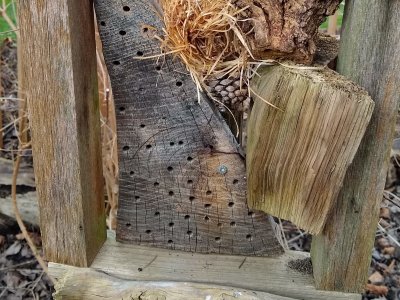 slebstgemachter Nistkasten aus Holz