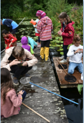 Kinder keschern am Weiher