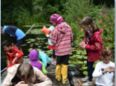 Kinder keschern am Weiher