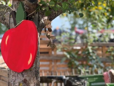 ein Apfel aus Holz hängt an einem Baum