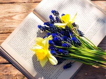 Frühlingsblumenstrauße auf aufgeschlagenem Buch