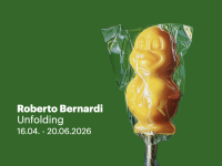 Roberto Bernardi, The lucky duck