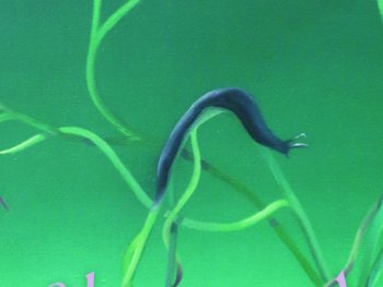 Ausstellung: Charmed - Barbara Sophie Höcherl und Anna Maria Schönrock