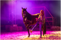 Julia Steinbrecher alias Mika in der Hauptrolle in der OSTWINDl ive Show