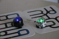MINTwoch - Programmieren mit den Ozobots