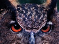 Szenenbild aus B WIE BARTLEBY