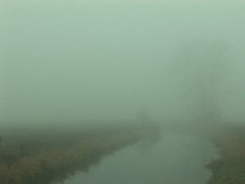 Copyright: Arsenal – Institut für Film und Videokunst e.V.
Szenenbild aus dem Film THE HALFMOON FILES