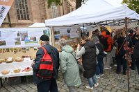 28.Schwabacher Regionalmarkt