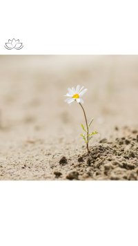 Stärke deine Resilienz - finde deine innere Kraftquelle