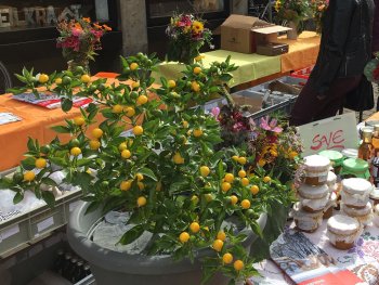 Marmeladen und Chutneys stehen auf einem Verkaufstisch, der mit Tischdecken und Pflanzen verschönert ist.