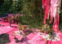 Künstlerische Installation mit Topfpflanzen auf leuchtend pinker Farbmasse vor einer begrünten Wand mit herabfließender pinker Farbe.