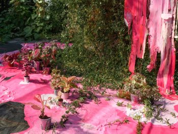 Copyright: Liza Dieckwisch, Ohne Titel (pink), 2022; VG Bild-Kunst Bonn, 2026 Künstlerische Installation mit Topfpflanzen auf leuchtend pinker Farbmasse vor einer begrünten Wand mit herabfließender pinker Farbe.