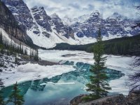schneebedeckte Berge mit klasklarem See im Vordergrund umringt von Nadelbäumen