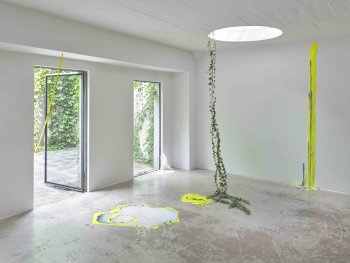 Copyright: Liza Dieckwisch & VG Bild-Kunst Bonn, 2026 Kunstinstallation in weißem Galerieraum mit neongelben Farbspuren auf Boden und Wand sowie einer von der Decke hängenden Efeu-Ranke.