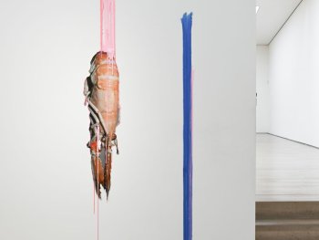Copyright: Liza Dieckwisch, Garnelensommer, 2024; (c) VG Bild-Kunst Bonn, 2026 Kunstinstallation mit einem rosafarbenen vertikalen Pinselstrich, an dem ein collagiertes überdimensionales Krustentier hängt, und einem blauen Pinselstrich daneben.
