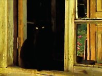 Eine schwarze Katze sitzt mit leuchtenden Augen im Dunkeln eines alten Holztürrahmens.
