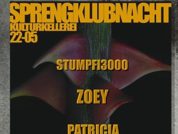 Bild zur Veranstaltung