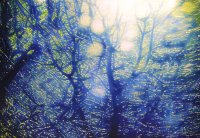 Ölgemälde eines mystisch wirkenden Waldes in intensivem Blau mit leuchtend gelb-grünen Akzenten und einer strahlenden Lichtquelle zwischen den Bäumen.