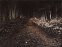 Ein Waldweg führt nachts zwischen kahlen Bäumen in die Tiefe, links am Wegrand ein Stapel gefällter Baumstämme.
