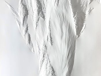 Monochrome Reliefplastik in Weiß, die erhabene Textur und verschiedene Strukturen zeigt.