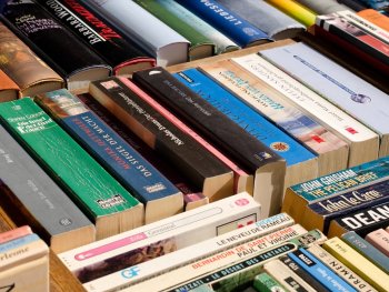 Copyright: Adobe Stock verschiedene Buchrücken nebeneinander platziert