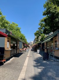 Kürbisschnitzen auf dem Fürther Markt