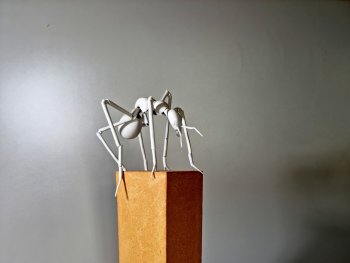 Foto: Veronika Riedl, VNP
Skulptur einer Porzellan-Ameise, die auf einem Steinsockel steht.
