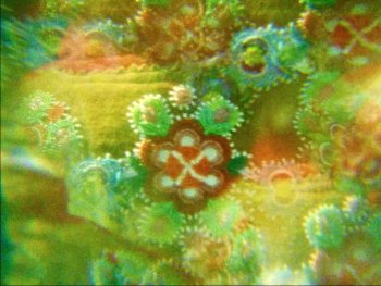 Copyright: Caroline Monnet Abstrakte Nahaufnahme eines ornamentalen Musters mit blütenartigen Formen in Grün-, Gelb- und Rottönen.