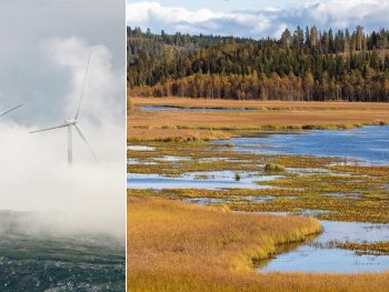 Copyright: Fabio König Windräder im Nebel, ein herbstliches Feuchtgebiet mit Wald und ein Elch im Wald sind nebeneinander in drei Bildern zu sehen.