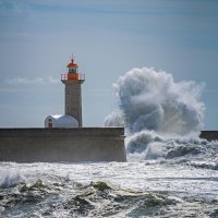 Resilienz