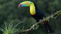 Costa Rica - 3D Live Reise Reportage