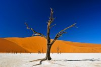 Namibia & Botswana - Live Reise Reportage mit Thomas Sbampato