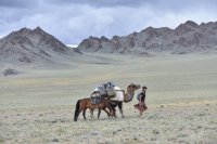 Die Vollblutabenteuerin - Live Reise Abenteuer mit Tamar Valkenier