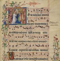 Farbenfrohe Buchseiten. Führung durch die Ausstellung