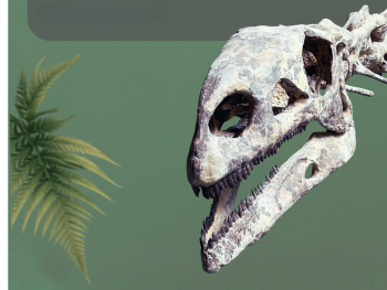 Grafik eines Dinosaurierskeletts mit Schädel und Halswirbeln vor grünem Hintergrund mit Farnblättern.
