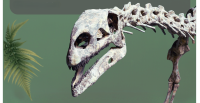 Klima und Klimawandel von den Dinosauriern bis heute