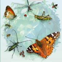 Beginn der Sonderausstellung: Insekten - Erfolgsmodell der Natur