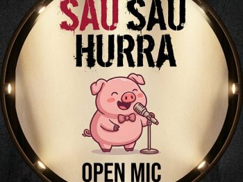 Illustration eines singenden Cartoon-Schweins am Mikrofon in einem beleuchteten Rundrahmen mit dem Titel „Sau Sau Hurra Open Mic“.