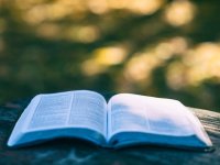 Aufgeschlagenes Buch liegt auf einer Holzoberfläche vor einem unscharfen grünen Naturhintergrund.