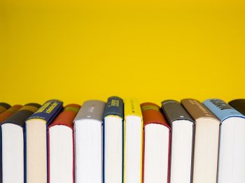 Eine Reihe unterschiedlich farbiger Buchrücken steht aufrecht vor einem gelben Hintergrund.