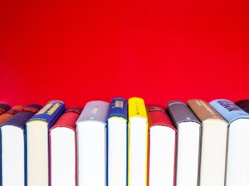 Eine Reihe bunter Bücher steht aufrecht vor rotem Hintergrund.