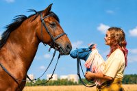 Ein braunes Pferd mit Zaumzeug schnuppert an einem Steckenpferd, das eine junge Person mit rosa-blonden Haaren auf einem Feld hält.