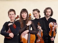 Musiker des Orchesters VENTUNO