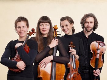 Musiker des Orchesters VENTUNO